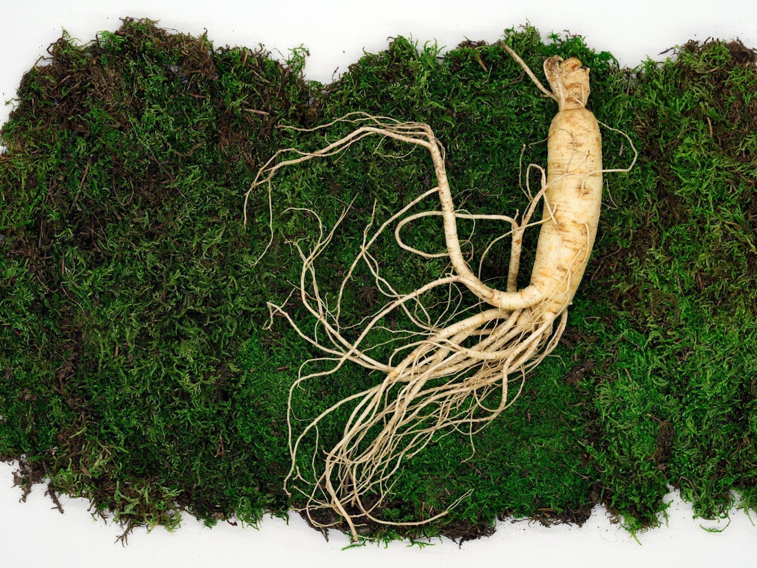 ginseng used in skin products