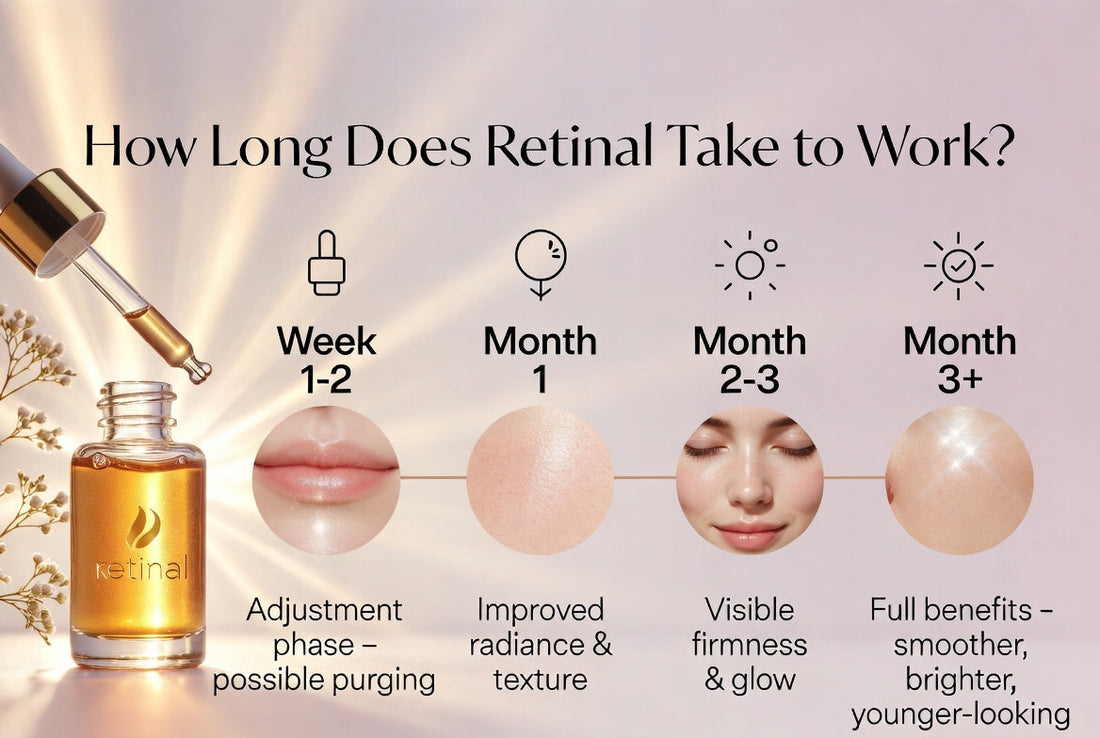 How retinal work
