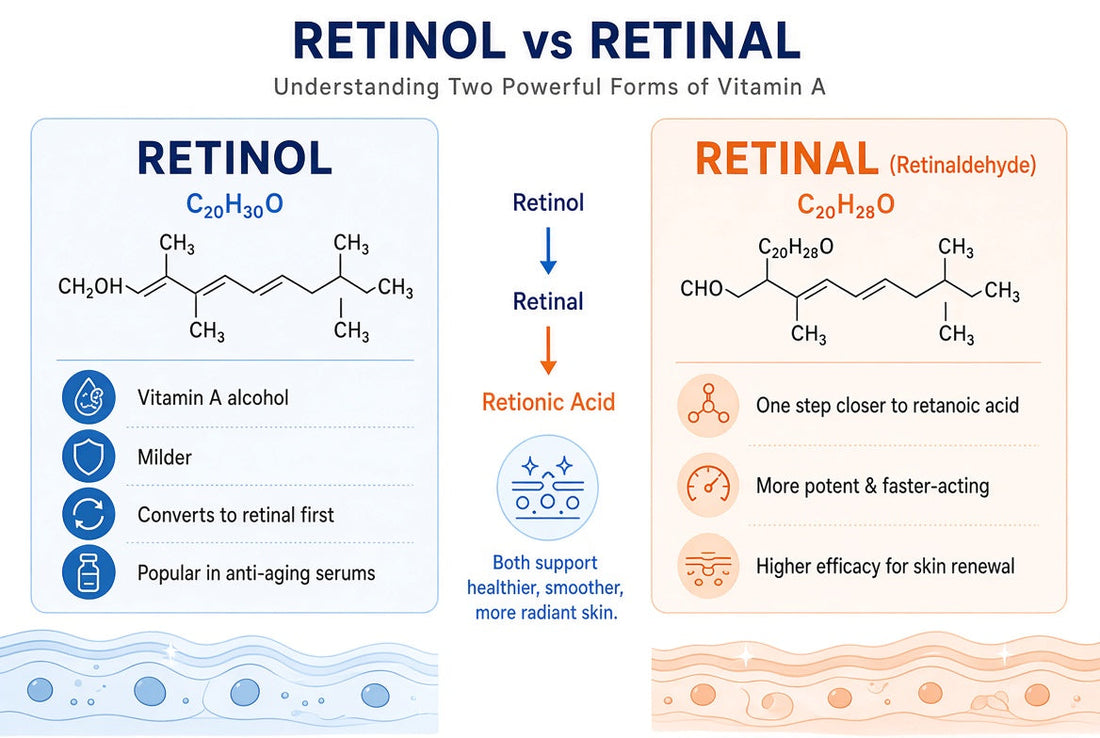retinol vs retinal infograph