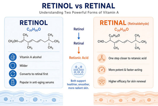 retinol vs retinal infograph